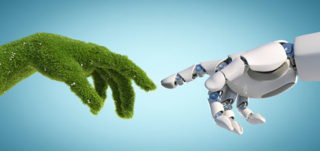 Création de site internet éco-responsable